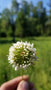 a sample image
